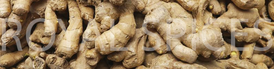 Whole Dry Ginger